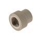 Муфта PPR ВР SPK (S20 х 3/4") 2090M1-020025 фото 3