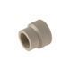 Муфта PPR ВР SPK (S20 х 3/4") 2090M1-020025 фото 2